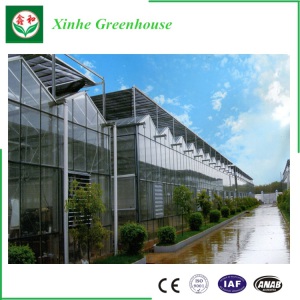 Polycarbonate Greenhouse for Vegetable